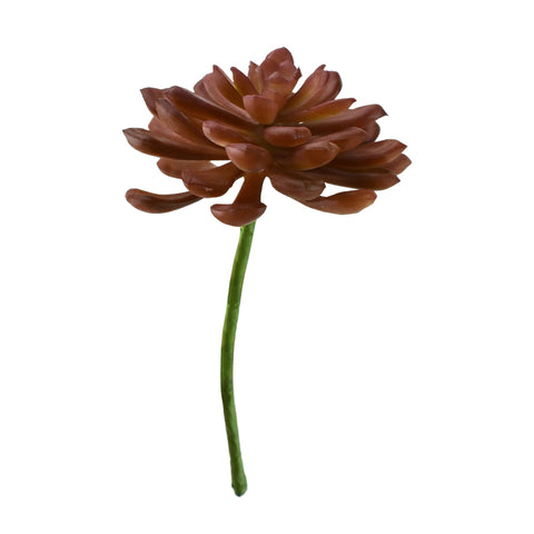 Artificial Soft Touch Baby Aeonium Pick, 6-inch