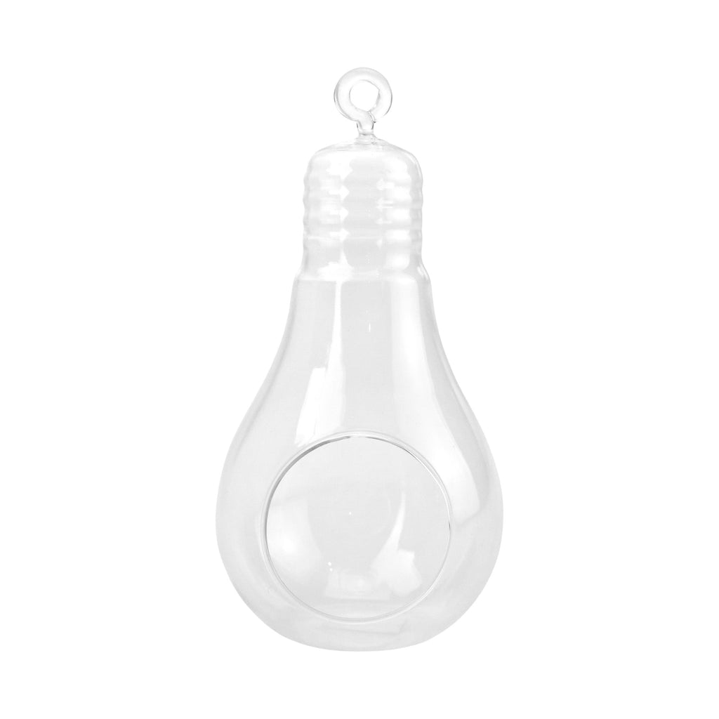 Lightbulb Shaped Hanging Glass Terrarium