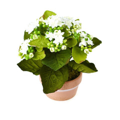 Artificial Silk Kalanchoe Flower Pot, 8-Inch