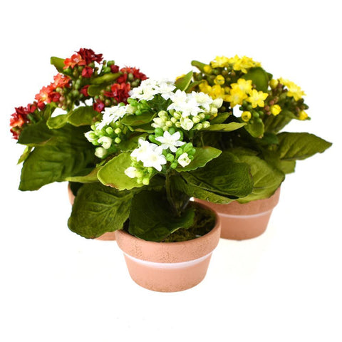 Artificial Silk Kalanchoe Flower Pot, 8-Inch