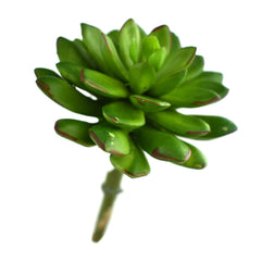 Artificial Wax Agave Succulent Pick, 6-1/2-inch