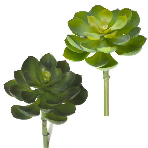 Artificial Spread Out Succulent, 7-Inch