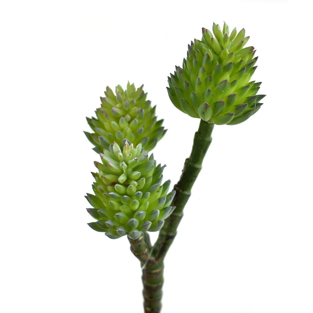 Artificial 3-Branch Succulent Set, Dark Green, 7-1/2-Inch