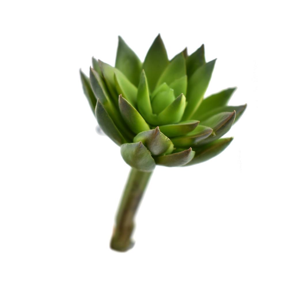 Artificial Echeveria Succulent Stem, Green, 5-Inch