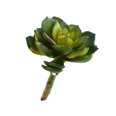 Artificial Green Prince Succulent with Purple Outlines, 5-1/2-Inch