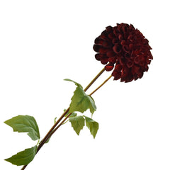 Artificial Fully Blossomed Dahlia Pick, 31-1/2-Inch