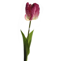 Artificial Parrot Tulip Stem, 26-Inch
