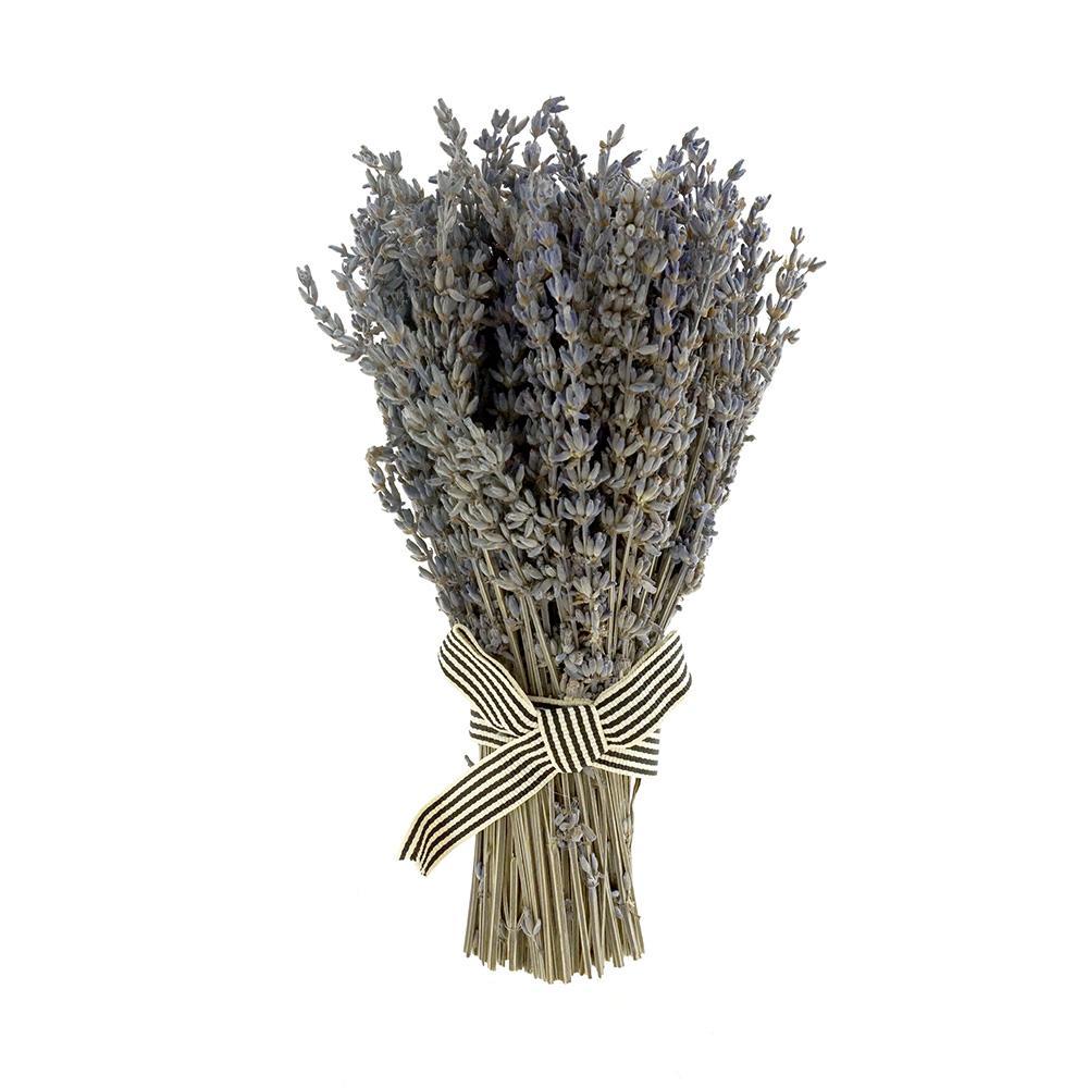 Natural Dried Lavender Bundle, 9-Inch