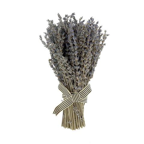 Natural Dried Lavender Bundle, 9-Inch