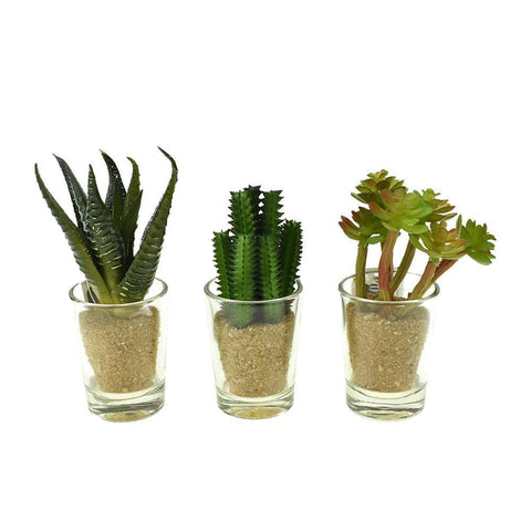 Artificial Assorted Cacti in Glass Planters, 4-Inch, 3-Piece