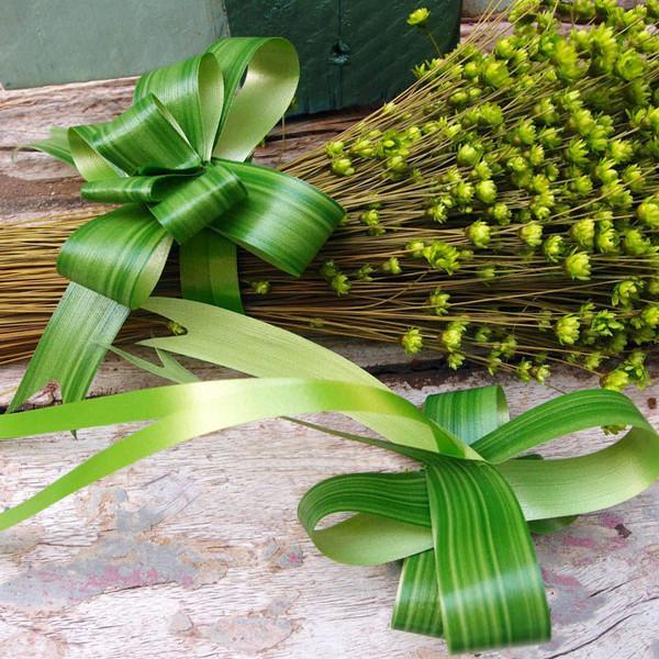 Waterproof Leaf Pull Bow, Aspidistra Green, 7/8-Inch x 10 feet