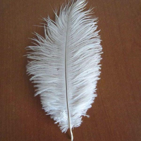 Ostrich Feather Decorative Centerpiece, 15-Inch, 1-Piece