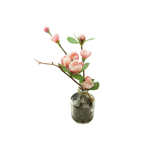 Plum Blossom Branch in Glass Bottle Decoration, 10-Inch