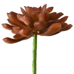 Artificial Soft Touch Baby Aeonium Pick, 6-inch